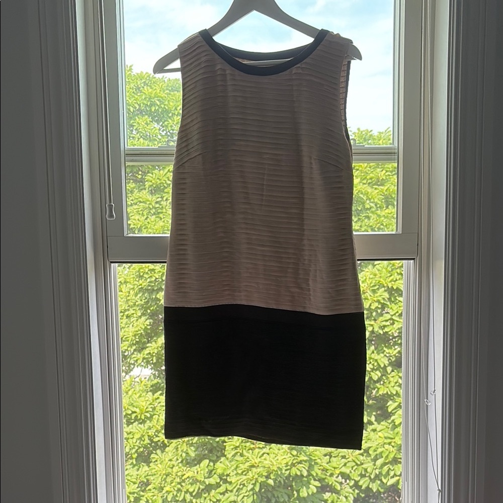 Elegant Black and Cream Sleeveless mini dress